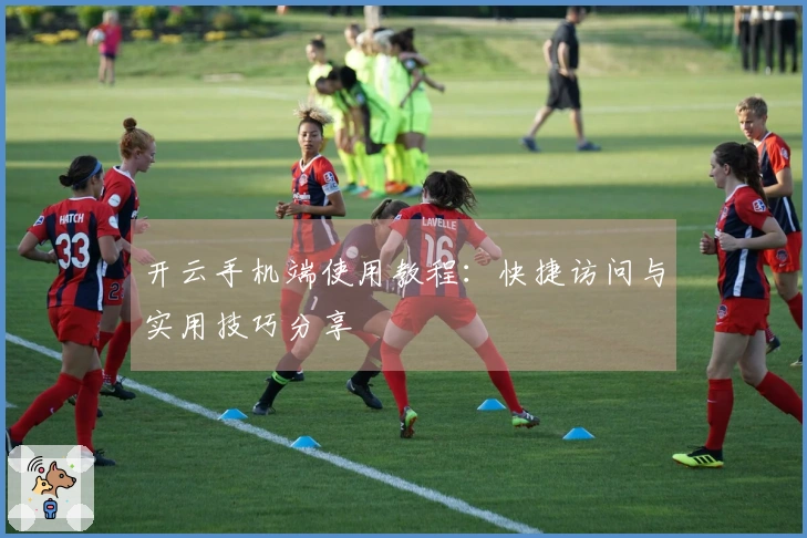 开云手机端使用教程：快捷访问与实用技巧分享