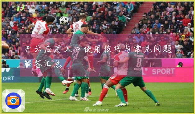 开云应用入口使用技巧与常见问题解答汇总